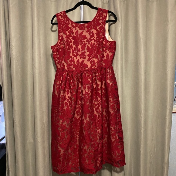 boutique embroidered organza skater dress